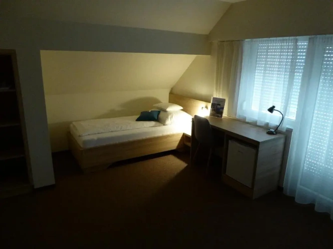 Standard Triple room with view