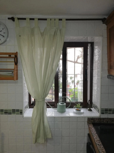 La buganvilla de Juana y Antonio