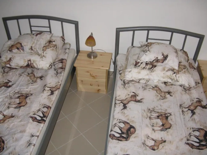 Standard Twin room with view