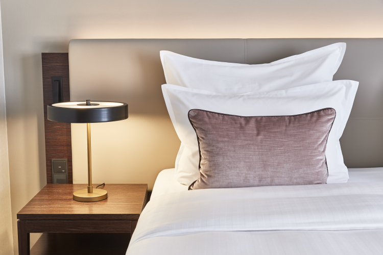 Steigenberger Hotel de SaxeOver view