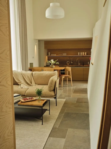 Luxury Apartment