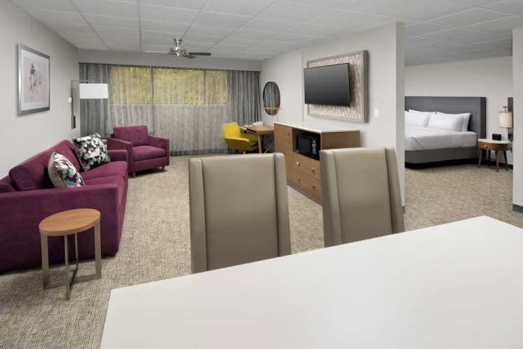 1 Bedroom Suite