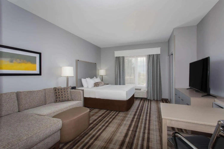 1 Bedroom Double Suite