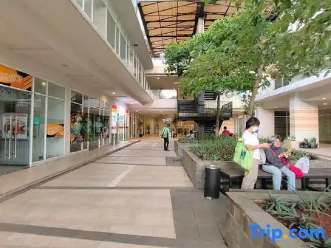 Thara Place Treepark BSD