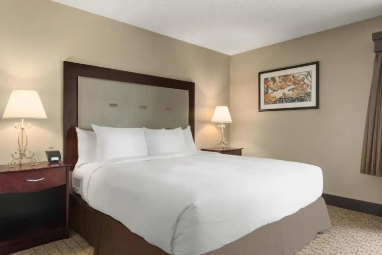 1 Bedroom Double Suite