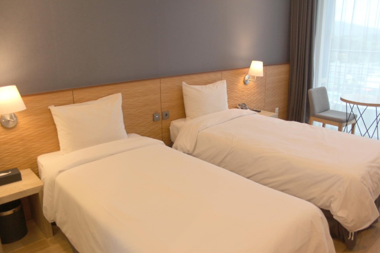 Deluxe Twin room with city view