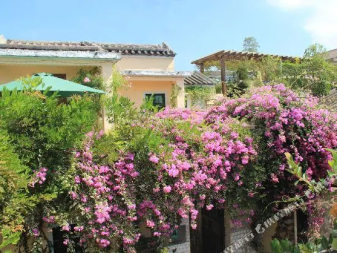 Lane Cottage B&B
