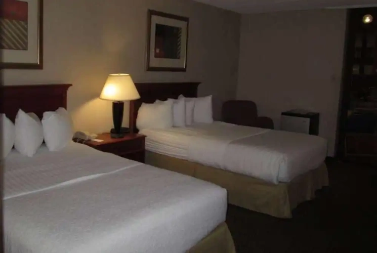 Quadruple Suite
