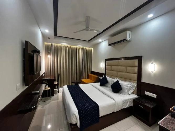 1 Bedroom Deluxe Double room with park view