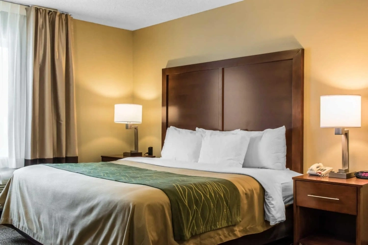 1 Bedroom Suite