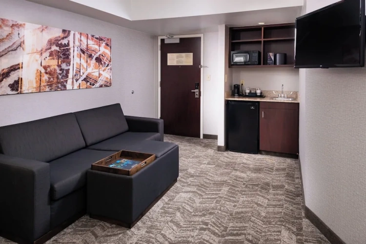 1 Bedroom Executive Suite