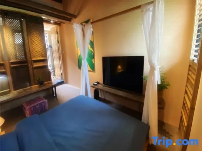 1 Bedroom Suite