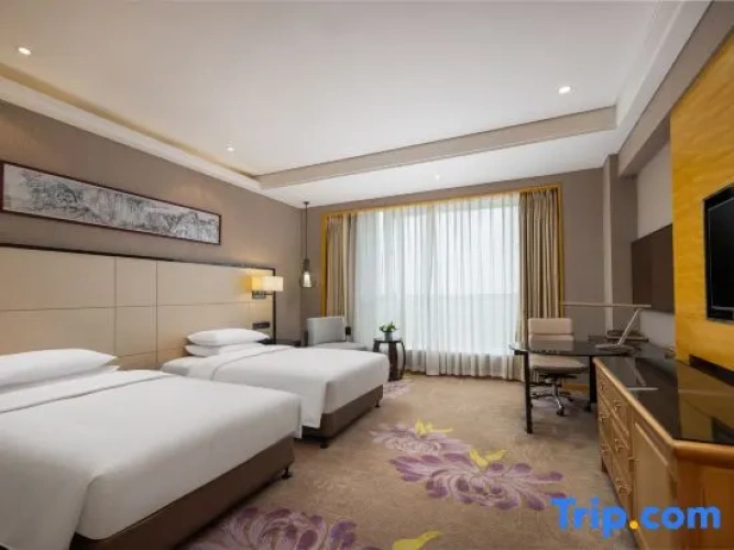Classic Single room