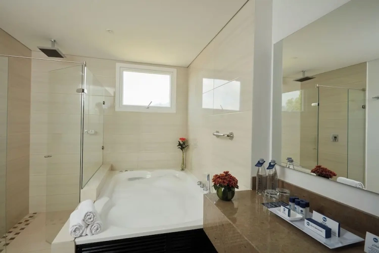Double Junior Suite with city view