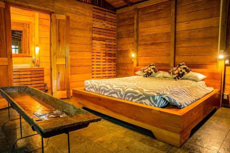 Deluxe Suite with balcony and with view