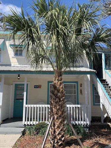 1 Bedroom Triple Cottage