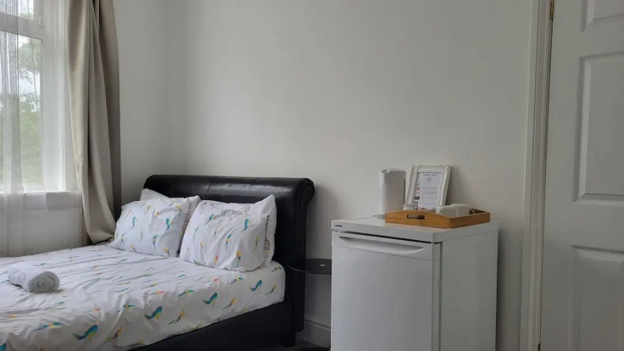 Deluxe Double room with park view