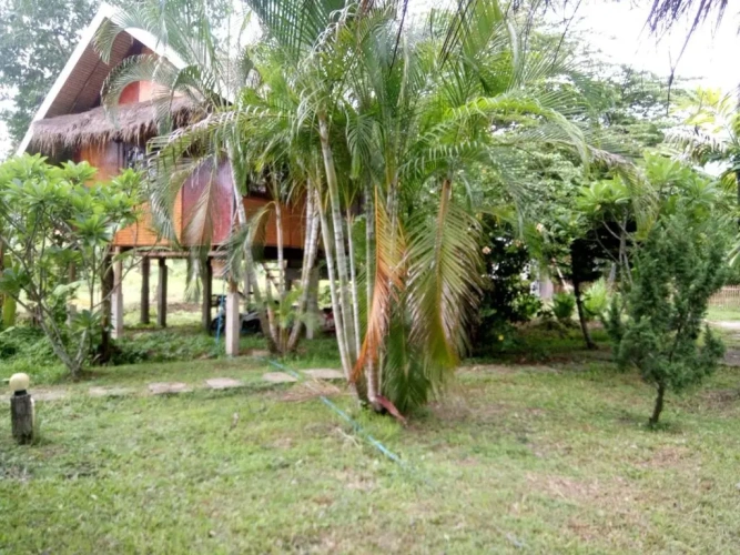 Deluxe Bungalow
