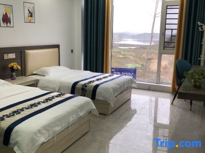 Standard Double room with lake view