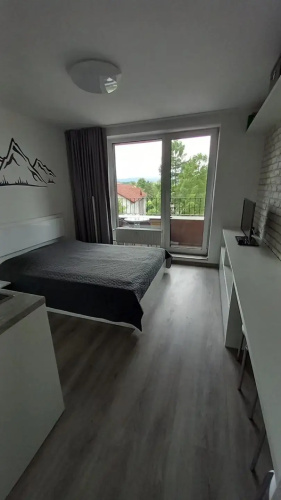 Mountain View Studio Apartment