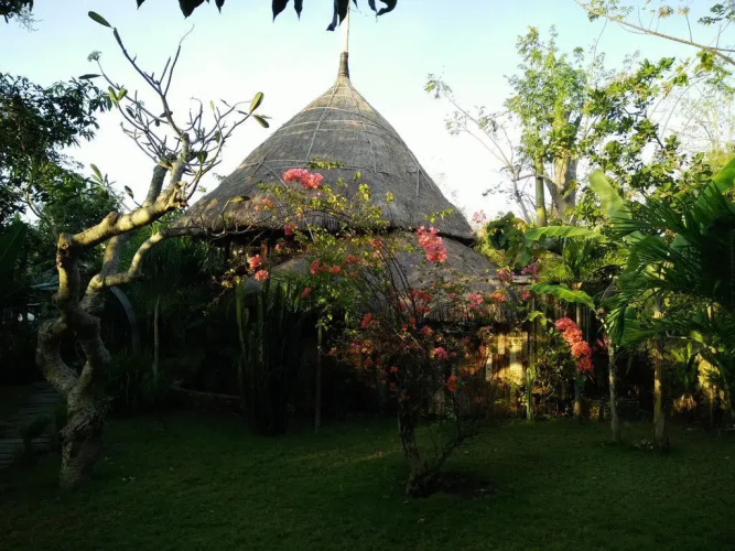 The Alchemist Lodge