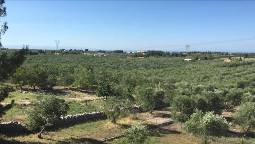 Villa Valeria B&B