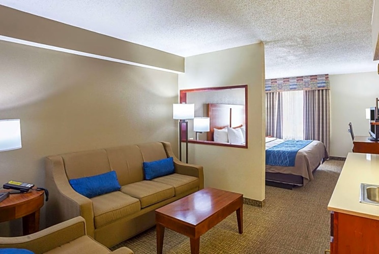Single Suite