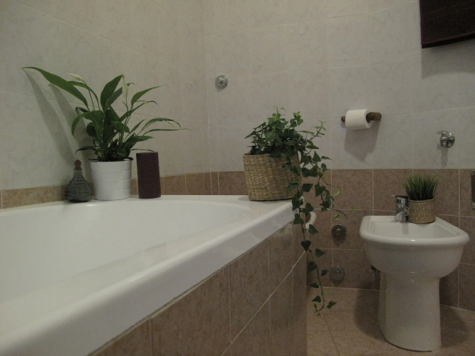 Arches Inn B&B