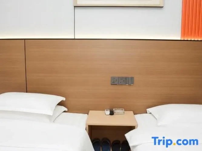 Standard Twin Family room