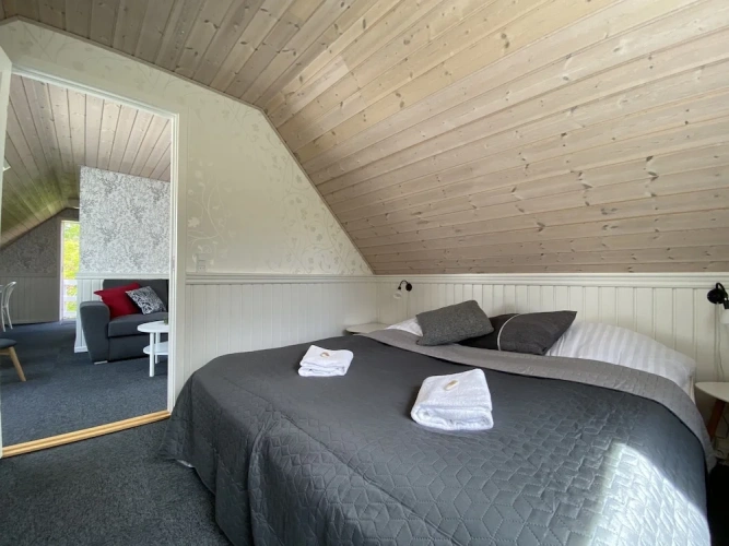 1 Bedroom Suite