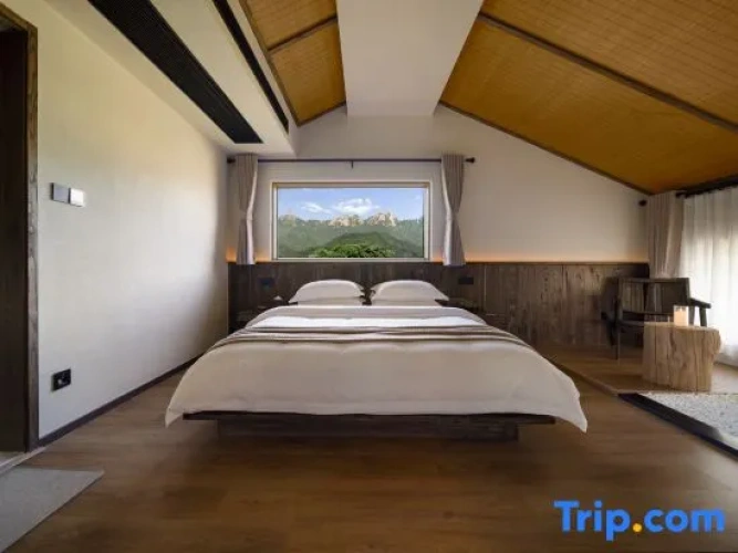 Deluxe Double Suite with view