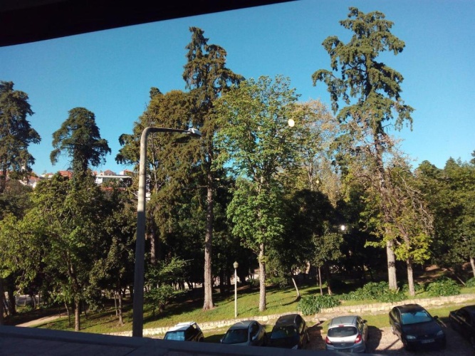 Apartment with view