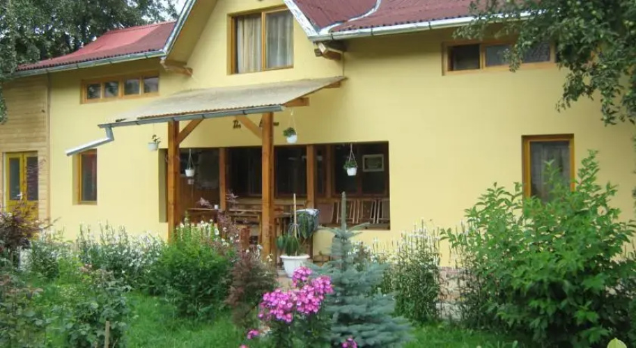 Dor De Bucovina