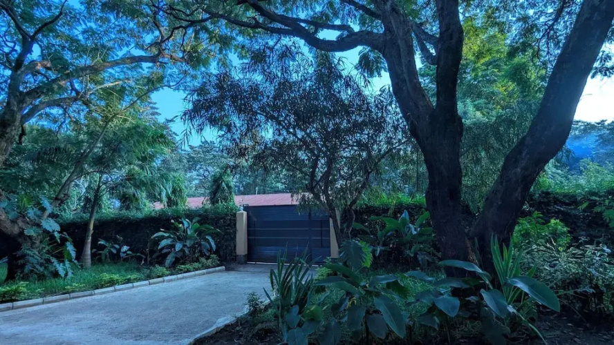 jacaranda homestay