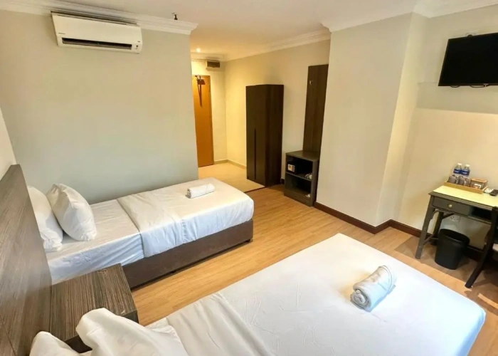 Deluxe Twin room