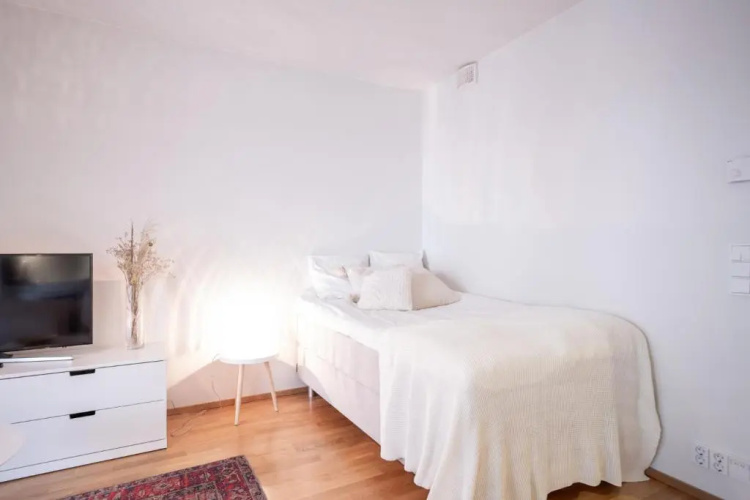 Wonderful studio apartment