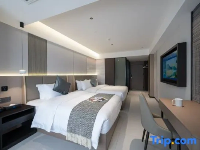 Standard Twin Family room
