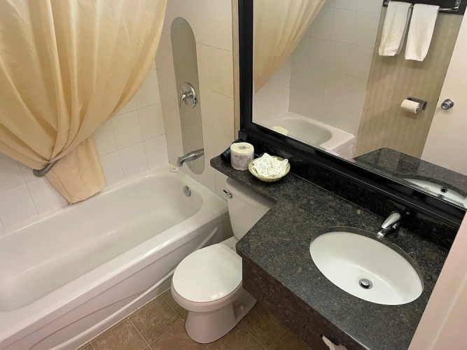Deluxe Single room