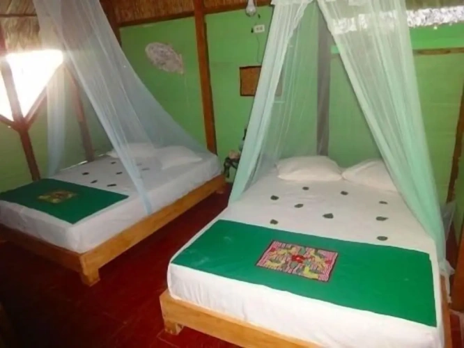 1 Bedroom Standard room with ocean view