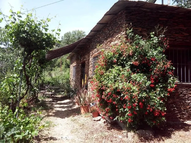 1 Bedroom Cottage