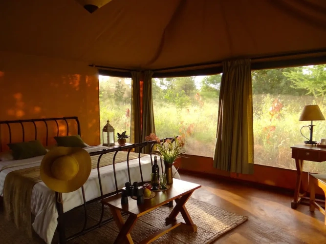 Tent with garden view