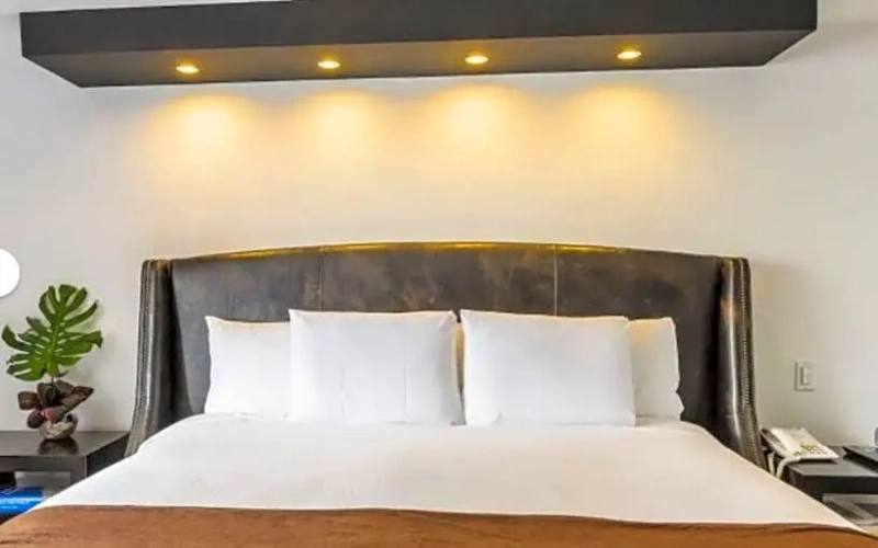 Executive Single room