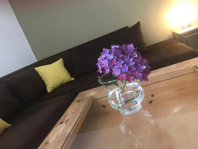 Alpenlodge Kirchbach