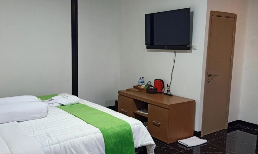 Standard Double room with mountain view