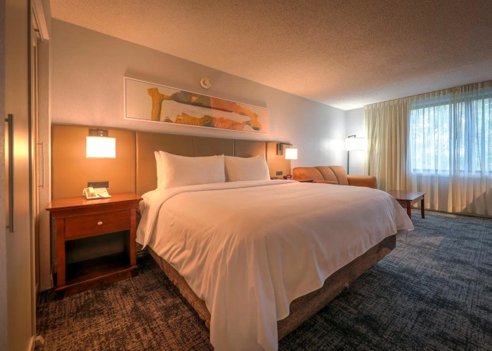 Single Suite