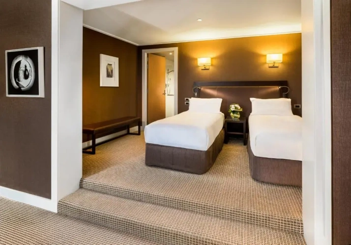 Deluxe Twin room with lake view