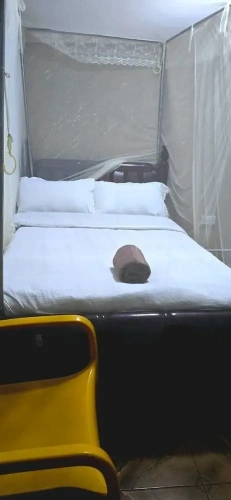 Comfort Single room with courtyard view