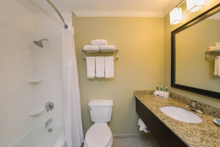1 Bedroom Suite