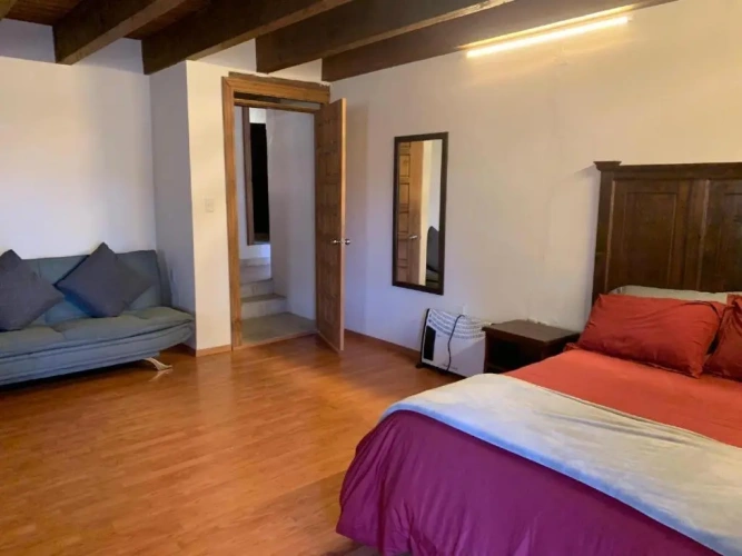 Standard Double room with park view