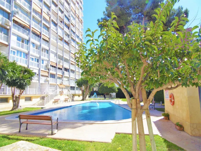 Albatros Ground Floor 1-4